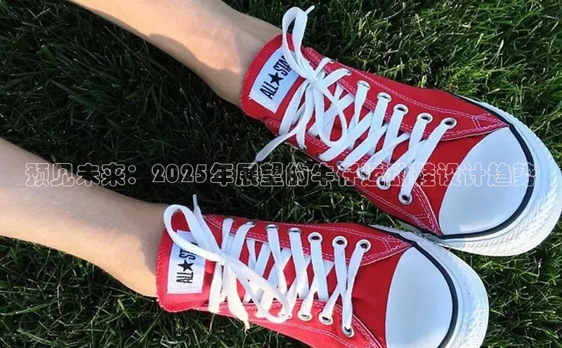 预见未来：2025年展望的牛仔运动鞋设计趋势